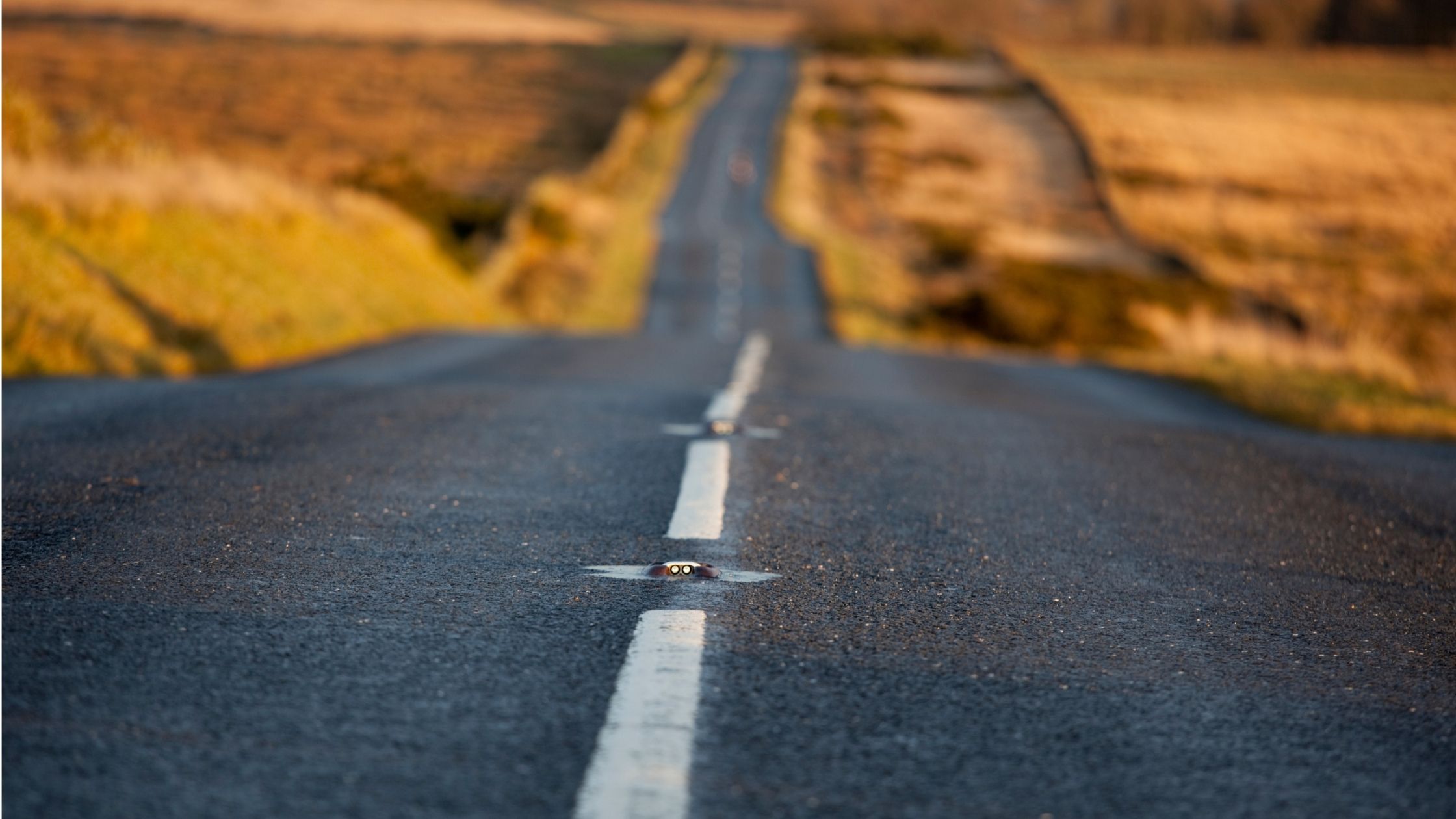 Cats Eyes and Road Safety - Compass Vehicle Services Ltd