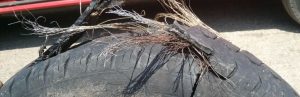 Tyre-blowout- Tyre blowout