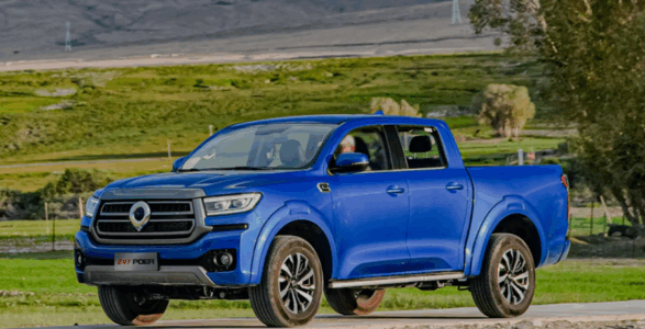 GWM POER300